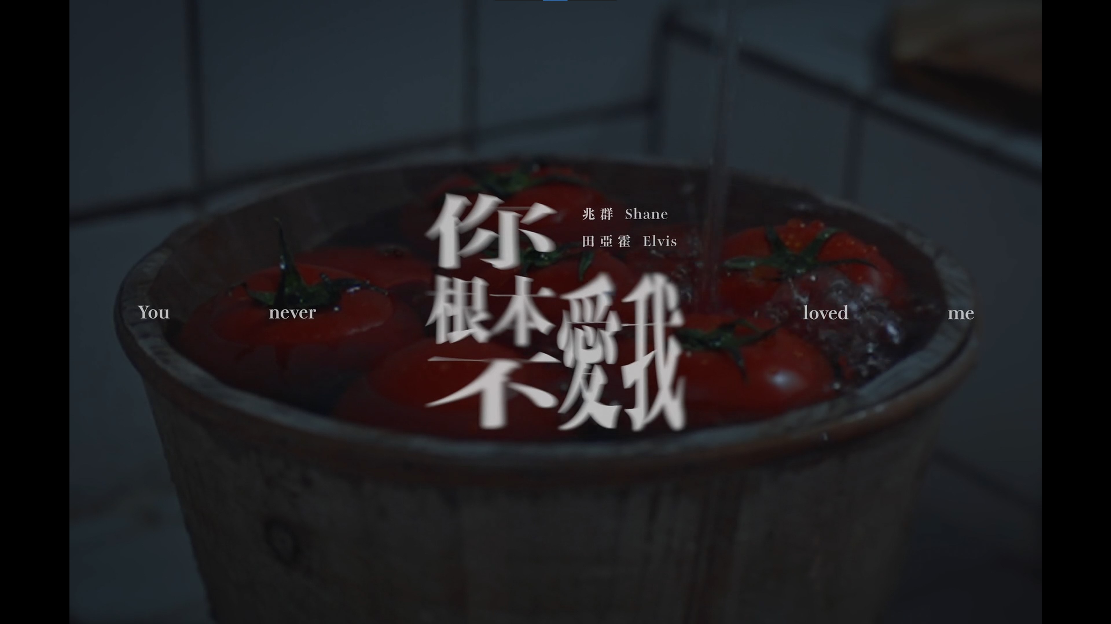 兆群_田亞霍-你根本不愛我預覽圖