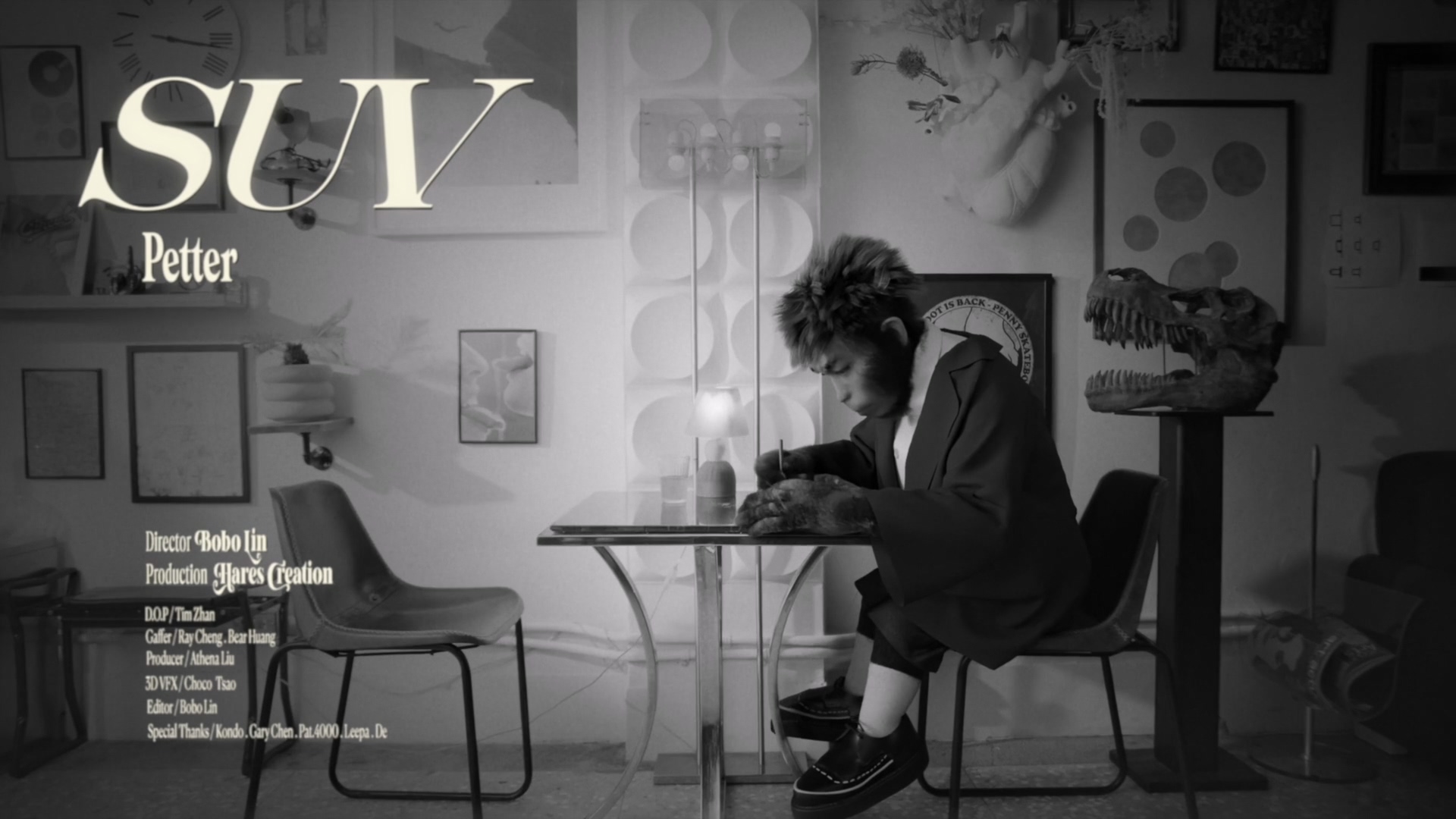 培特petter_suv預覽圖